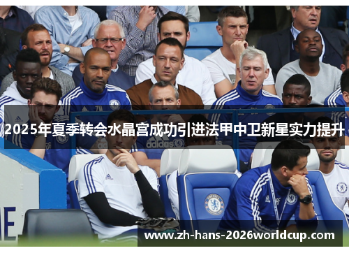 2025年夏季转会水晶宫成功引进法甲中卫新星实力提升